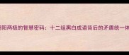 阴阳两极的智慧密码十二组黑白成语背后的矛盾统一体