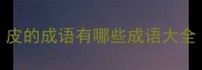 皮的成语有哪些成语大全