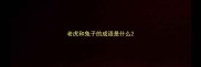 老虎和兔子的成语是什么