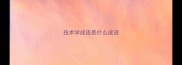 技术学成语是什么成语