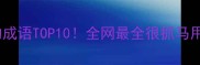 带很字的成语TOP10全网最全很抓马用法指南