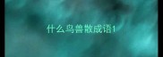 什么鸟兽散成语