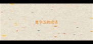 数字五的成语