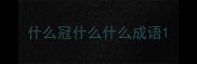 什么冠什么什么成语