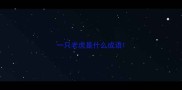 一只老虎是什么成语