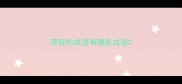 带穿的成语有哪些成语