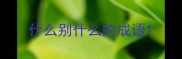 什么别什么的成语