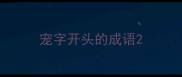 宠字开头的成语