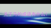 关于马的成语有什么