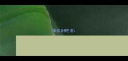 带阴阳成语