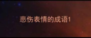 悲伤表情的成语