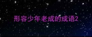 形容少年老成的成语