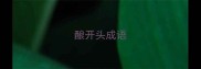 酿开头成语