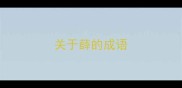 关于薛的成语