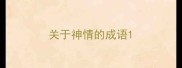 关于神情的成语