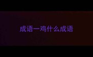成语一鸡什么成语