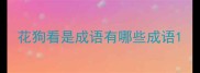 花狗看是成语有哪些成语