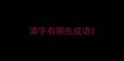 清字有哪些成语