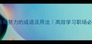 20个形容非常努力的成语及用法高效学习职场必备推荐