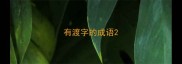 有渡字的成语