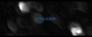 点什么止成语