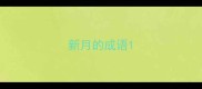 新月的成语