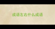 成语左右什么成语