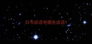 白书成语有哪些成语