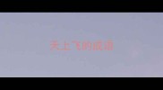 天上飞的成语