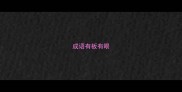 成语有板有眼