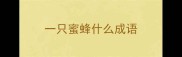 一只蜜蜂什么成语
