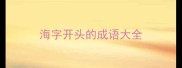 海字开头的成语大全