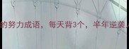 20个超实用的努力成语每天背3个半年逆袭人生