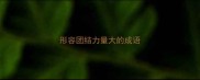 形容团结力量大的成语