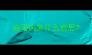 成语风来什么意思