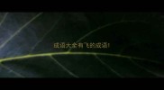 成语大全有飞的成语