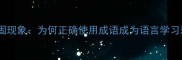 成语带固现象为何正确使用成语成为语言学习难点