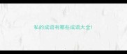 私的成语有哪些成语大全