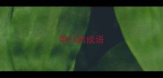 带fa的成语