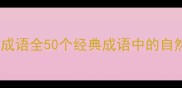 木字旁与山字旁的成语全50个经典成语中的自然意象与哲理智慧