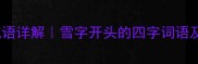 10个最经典雪字成语详解雪字开头的四字词语及用法成语大全
