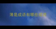 薄是成语有哪些成语