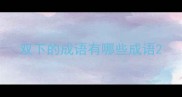 双下的成语有哪些成语