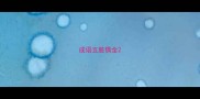 成语五脏俱全