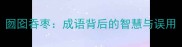 囫囵吞枣成语背后的智慧与误用