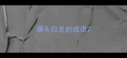 满头白发的成语