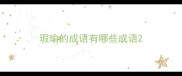 瑕瑜的成语有哪些成语