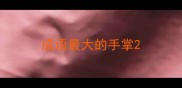 成语最大的手掌