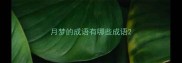 月梦的成语有哪些成语