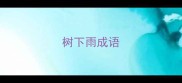 树下雨成语